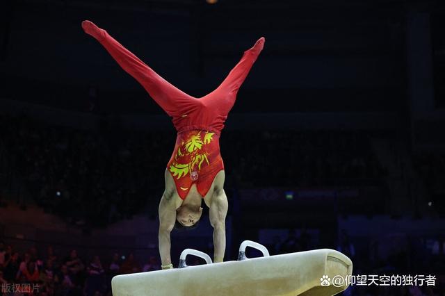 日本游泳选手再次上演惊艳，斩获大奖